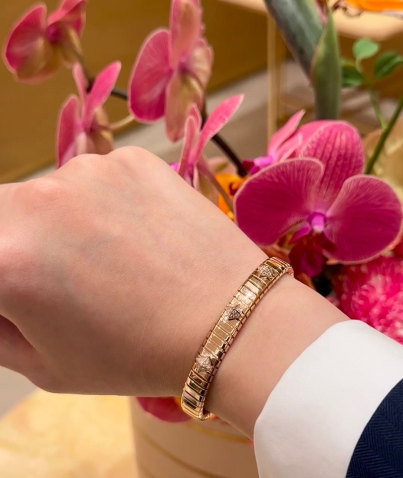 Bv1g*ai bracelets